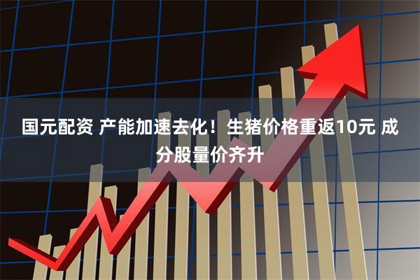 国元配资 产能加速去化！生猪价格重返10元 成分股量价齐升